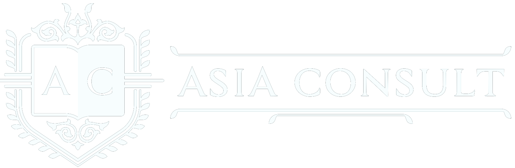 Asia Consult